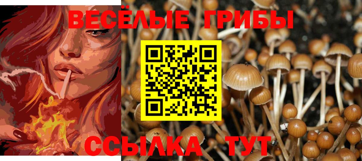 Псилоцибиновые грибы Psilocybine cubensis  Вход с VPN  Краснокамск  Псилоцибиновые грибы прущие грибы 