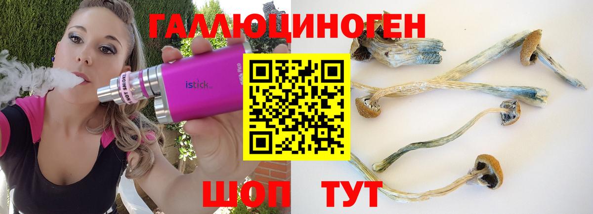 Псилоцибиновые грибы мицелий Краснокамск